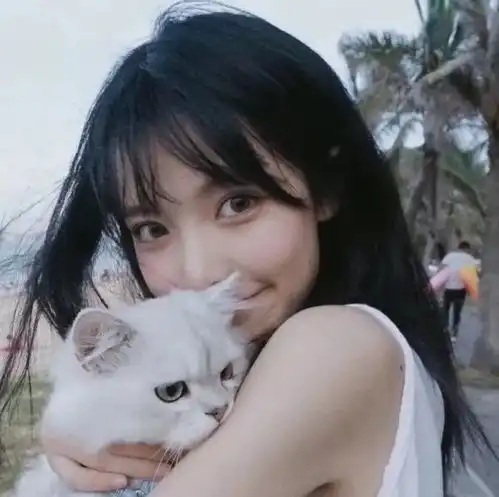 ins抱猫限定头像