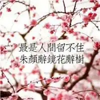 淡雅唯美古风意境头像微信头像图片大全