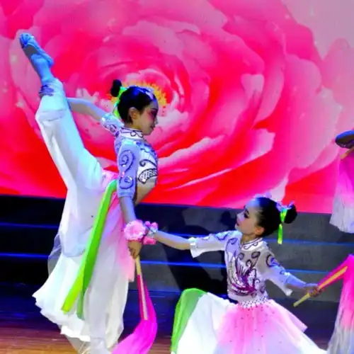 美炸天台小学舞蹈队斩获县中小学文艺汇演一等奖