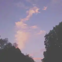 唯美小清新的静物微信头像15