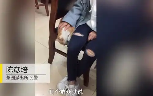 猫星人拯救世界重庆女孩欲跳楼,看到旁边的这只猫,她冷静了