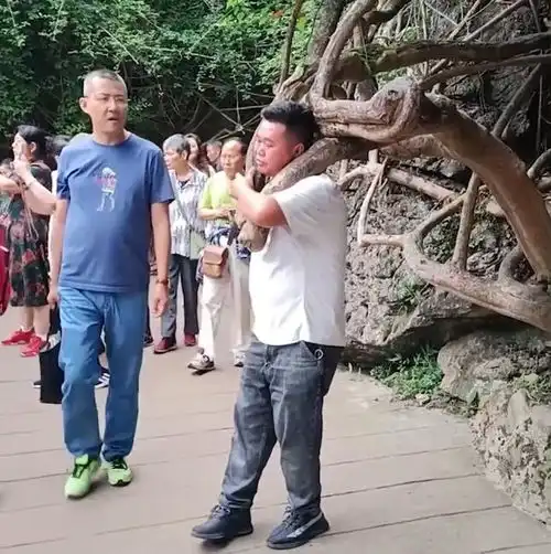 出洋相贵州男子将头伸进树杈拍照,不料被卡脖成新景点