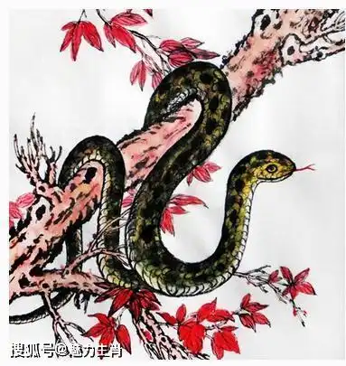 十二生肖痣长在哪里最招财,一起对号入座吧