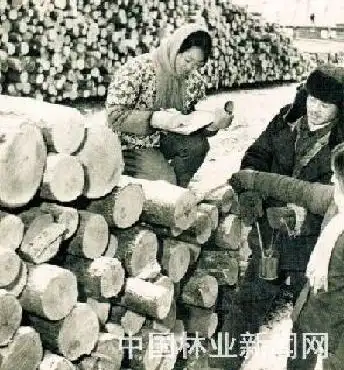 林草辉煌70年