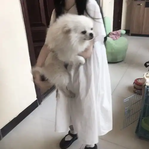 杂系女头不太复杂且小众的寓意网名