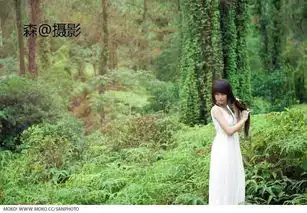 随