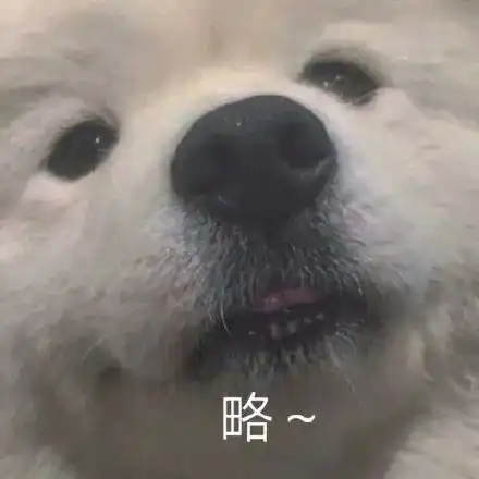 沙雕小动物表情包越可爱,越萌,越骚