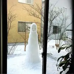 龙猫出没日本雪后大街小巷皆是景组图