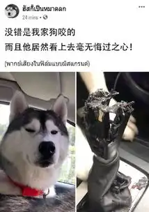 多次相亲无果后老妈弄了个模拟相亲,结果...哈哈哈xswl