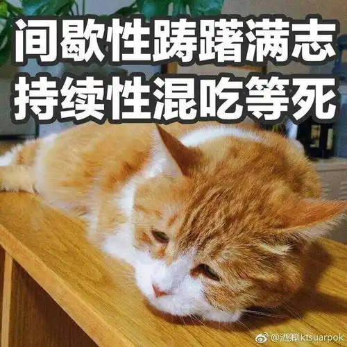 我又掉队了可能永远都追不上吧