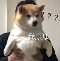 曝光女生的私密聊天记录刺激...