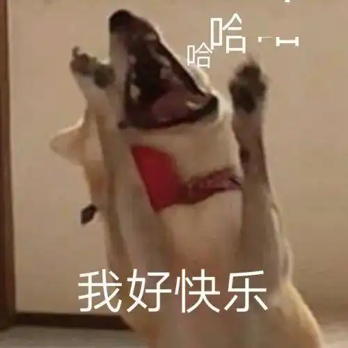 超好看的个性小众壁纸,全是宝藏图片