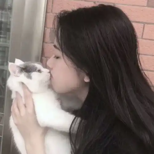 来自异地恋的独白