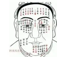 从手相面相了解一个人爱秀美