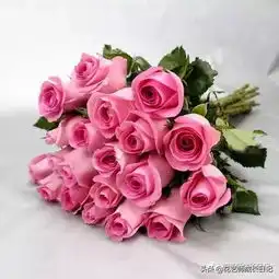 苏醒玫瑰初恋花,少女白净面庞上醉人的红晕,像极了爱情