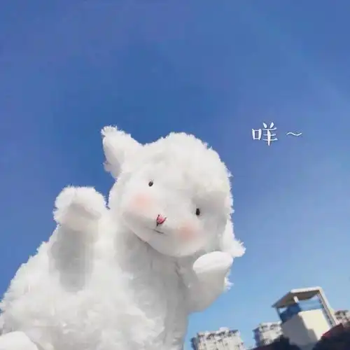 12件小众又高级的礼物,绝对让你惊喜连连