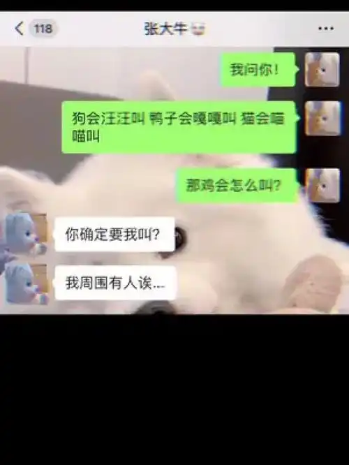 细思极恐情侣日常搞笑视频原原世界东北男友