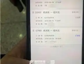 为了省钱,研究出逃票秘籍女会计和医学博士半年逃票十余次,结果双双拘留