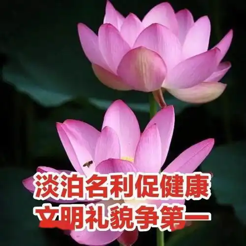 2022年广东人攀比实录,广州顺德打不过潮汕