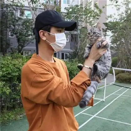 男生抱猫头像真人,喜欢猫咪的男生有点意思
