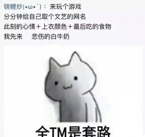 不许打扰我看美女