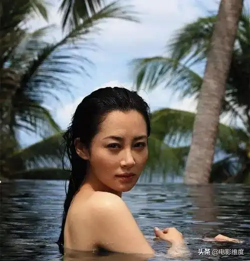 娱乐圈的四大黄金剩女,她们都非常优秀,为什么还不结婚