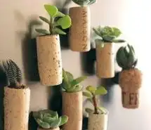 微信花草盆景头像微信头像图片大全