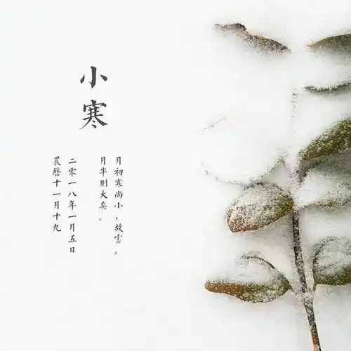 兔年小寒节气1月6日21日生肖兔切勿感情用事,凡事理性为主