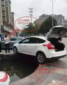 车的质量再好,也比不过这开车的神技术啊