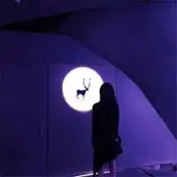 480480女生头像唯美微信头像图片大全