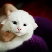 qq个性中心qq个性签名qq个性印象qq分组