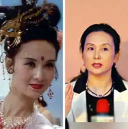美人迟暮老版四大名著美女今昔对比照