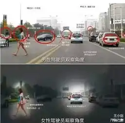 为何难懂女司机男女大脑电路有区别