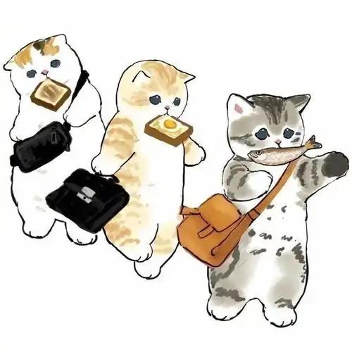 头像猫出没