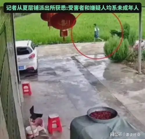 湖南9岁女童河中身亡,男凶手未满14岁,监控曝光,杀人过程披露