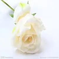 微信头像白色玫瑰花微信头像图片大全