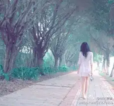 梁春阳