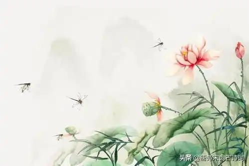 古诗词里的江南夏天