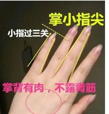 娶这样的女人,预示着家运飙升,家运昌隆,财运滚滚来旺夫