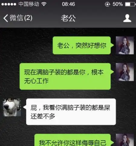 搞笑聊天记录夫问妻婚前谈过几个男友妻一个夫说