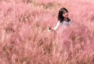 西安最美粉色花海梦幻绽放,如童话仙境