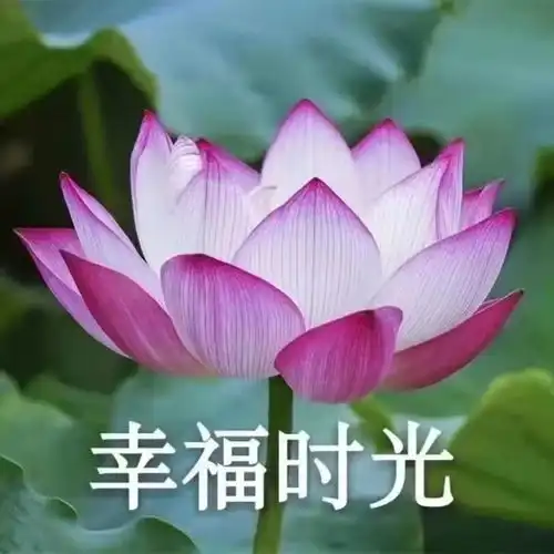 dec.6th杂图