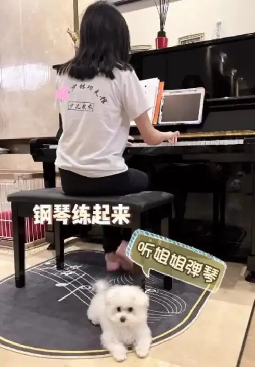 吴尊一家四口出游,neinei戴墨镜撩发气质好像大明星,比妈妈会穿