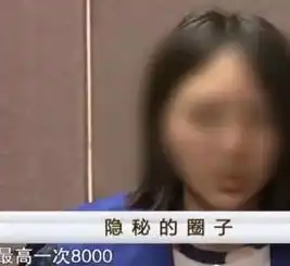 太原漂亮女大学生上学期间不学好,做一次最高收8000元