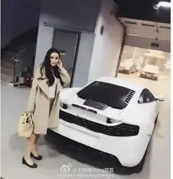 兰博基尼迈凯轮法拉利网红一天换4豪车全靠二手车平台