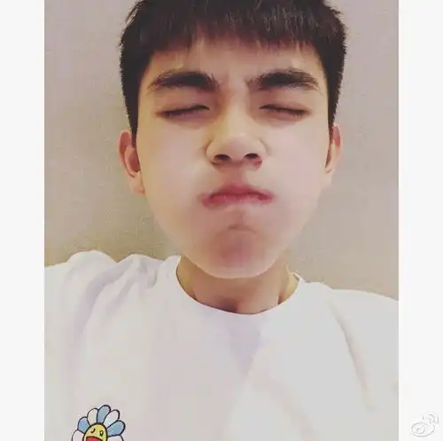 陈飞宇的图片