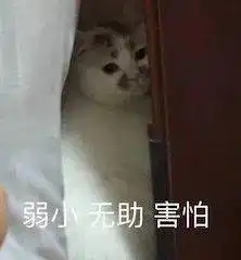沙丘推迟上映爱在系列或许没有第四部