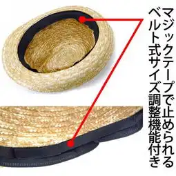 路飞草帽大甩卖官方号召加入正版行列