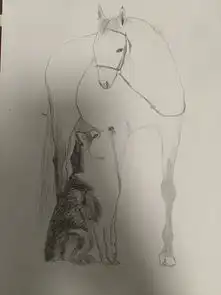 没学过画画,野路子画得特别好是怎样的体验