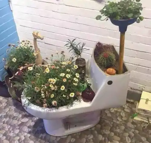 花友养花的花盆简直逆天了锅碗瓢盆杯桶瓶箱齐上